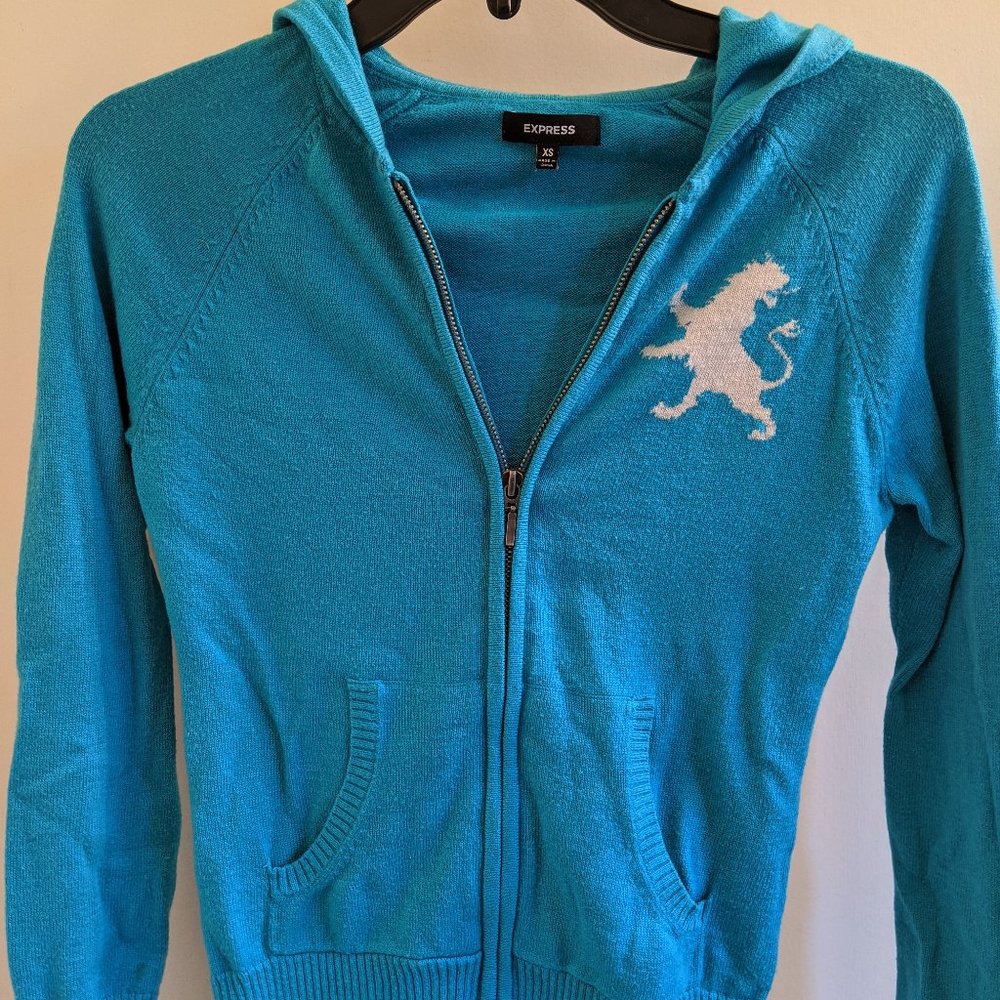Express sweater (blue)